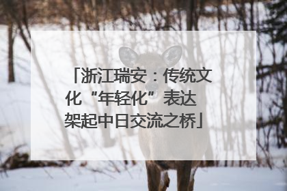 浙江瑞安：传统文化“年轻化”表达 架起中日交流之桥