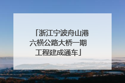浙江宁波舟山港六横公路大桥一期工程建成通车