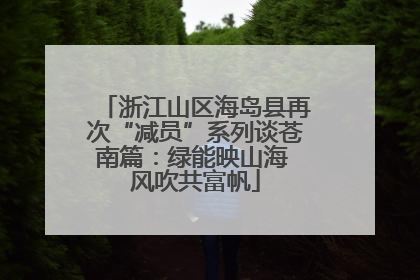 浙江山区海岛县再次“减员”系列谈苍南篇：绿能映山海 风吹共富帆