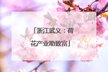 浙江武义：荷花产业助致富
