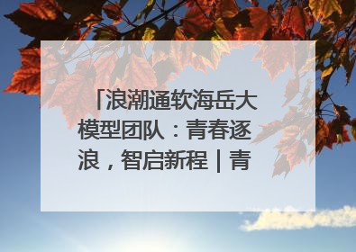 浪潮通软海岳大模型团队：青春逐浪，智启新程｜青春思政课