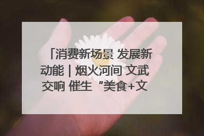 消费新场景 发展新动能｜烟火河间 文武交响 催生“美食+文化”消费新场景