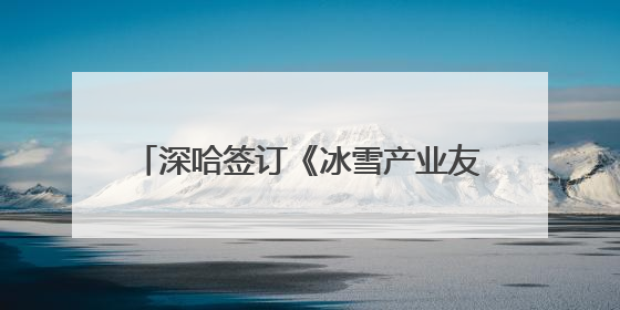 深哈签订《冰雪产业友好城市战略合作协议》，共同推进两地冰雪体育文化旅游高质量发展