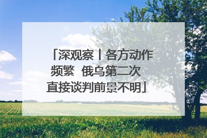 深观察丨各方动作频繁  俄乌第二次直接谈判前景不明