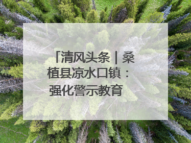 清风头条｜桑植县凉水口镇：强化警示教育 构筑廉洁防线