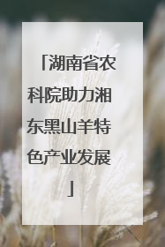 湖南省农科院助力湘东黑山羊特色产业发展