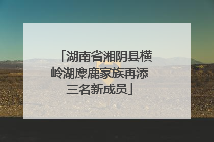 湖南省湘阴县横岭湖麋鹿家族再添三名新成员