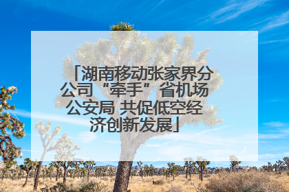 湖南移动张家界分公司“牵手”省机场公安局 共促低空经济创新发展