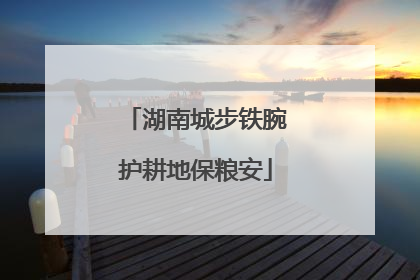 湖南城步铁腕护耕地保粮安