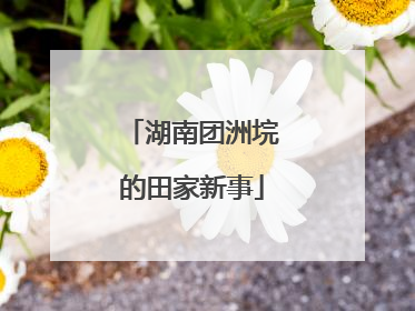 湖南团洲垸的田家新事