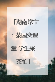 湖南常宁：茶园变课堂 学生采茶忙