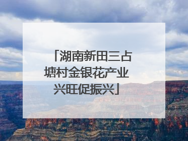 湖南新田三占塘村金银花产业兴旺促振兴
