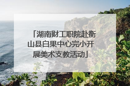 湖南财工职院赴衡山县白果中心完小开展美术支教活动
