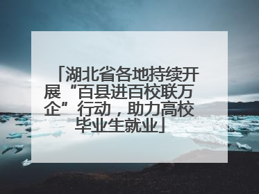 湖北省各地持续开展“百县进百校联万企”行动，助力高校毕业生就业