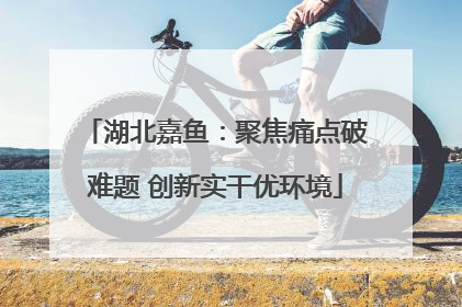 湖北嘉鱼：聚焦痛点破难题 创新实干优环境