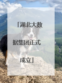 湖北大数据集团正式成立