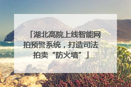 湖北高院上线智能网拍预警系统，打造司法拍卖“防火墙”