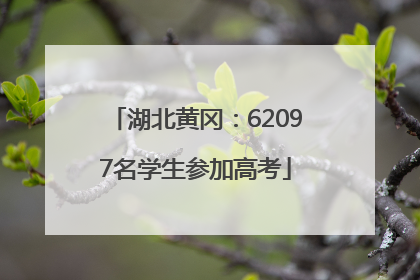 湖北黄冈：62097名学生参加高考