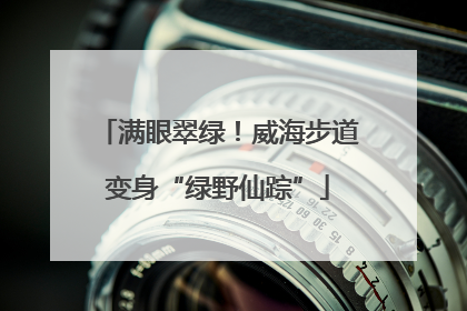 满眼翠绿！威海步道变身“绿野仙踪”