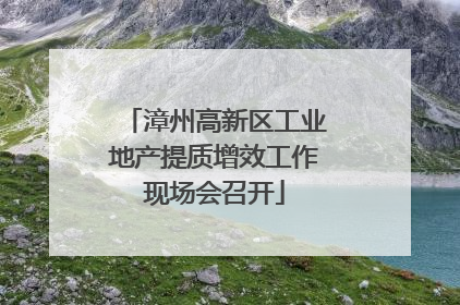漳州高新区工业地产提质增效工作现场会召开