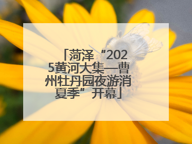 菏泽“2025黄河大集—曹州牡丹园夜游消夏季”开幕