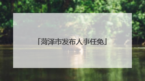 菏泽市发布人事任免
