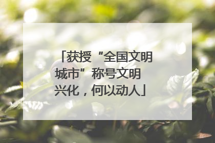 获授“全国文明城市”称号文明 兴化，何以动人