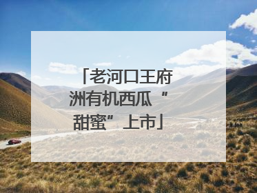 老河口王府洲有机西瓜“甜蜜”上市