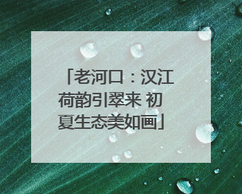 老河口：汉江荷韵引翠来 初夏生态美如画