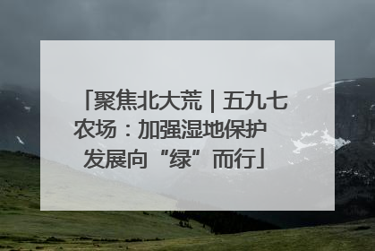 聚焦北大荒｜五九七农场：加强湿地保护 发展向“绿”而行