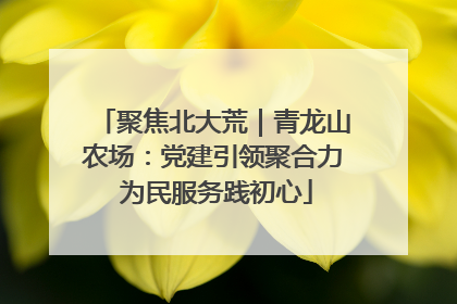 聚焦北大荒｜青龙山农场：党建引领聚合力 为民服务践初心