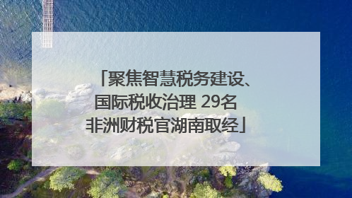 聚焦智慧税务建设、国际税收治理 29名非洲财税官湖南取经