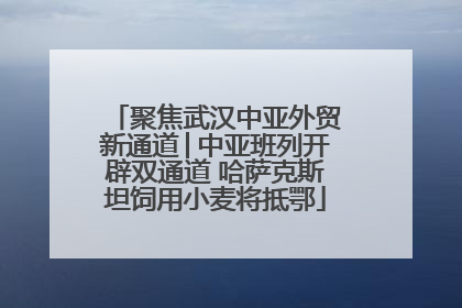 聚焦武汉中亚外贸新通道│中亚班列开辟双通道 哈萨克斯坦饲用小麦将抵鄂