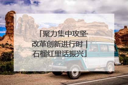 聚力集中攻坚·改革创新进行时｜石榴红里话振兴