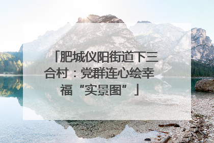 肥城仪阳街道下三合村：党群连心绘幸福“实景图”