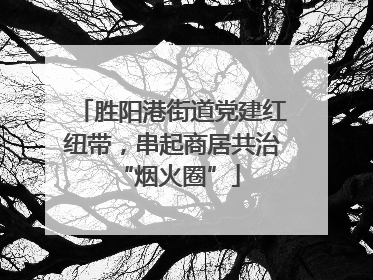 胜阳港街道党建红纽带，串起商居共治 “烟火圈”