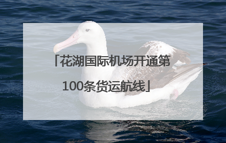花湖国际机场开通第100条货运航线