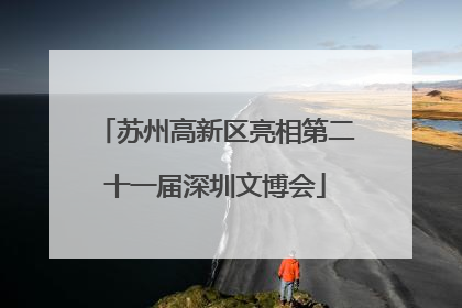 苏州高新区亮相第二十一届深圳文博会