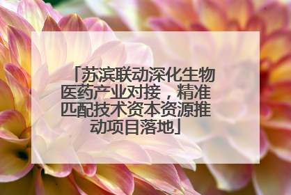 苏滨联动深化生物医药产业对接，精准匹配技术资本资源推动项目落地