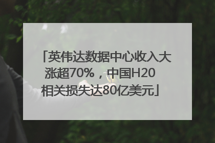 英伟达数据中心收入大涨超70%，中国H20相关损失达80亿美元