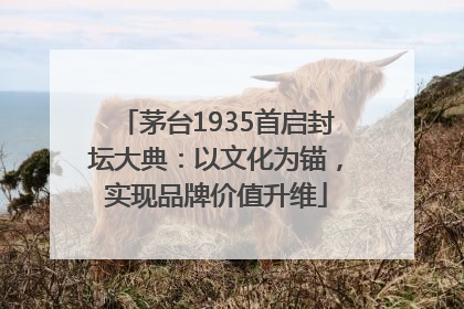 茅台1935首启封坛大典：以文化为锚，实现品牌价值升维