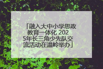 融入大中小学思政教育一体化 2025年长三角少先队交流活动在温岭举办