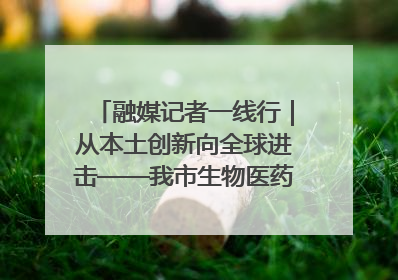 融媒记者一线行｜从本土创新向全球进击——我市生物医药产业破茧突围