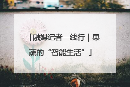 融媒记者一线行｜果蔬的“智能生活”
