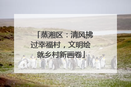 蒸湘区：清风拂过幸福村，文明绘就乡村新画卷