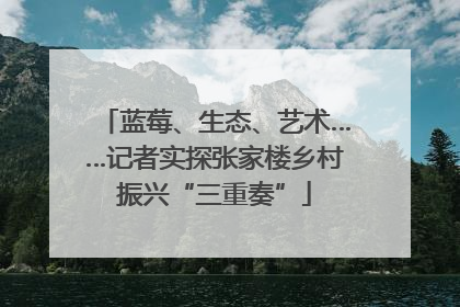 蓝莓、生态、艺术……记者实探张家楼乡村振兴“三重奏”