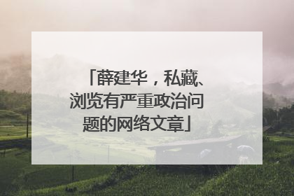 薛建华，私藏、浏览有严重政治问题的网络文章