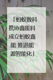 蚂蚁数科携协鑫能科成立蚂蚁鑫能 推进能源智能化