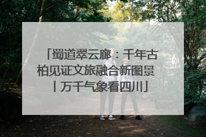 蜀道翠云廊：千年古柏见证文旅融合新图景丨万千气象看四川