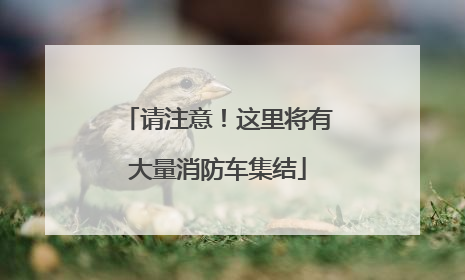 请注意！这里将有大量消防车集结